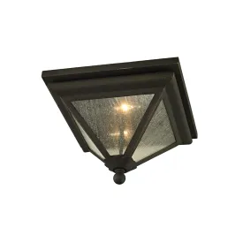 Troy Lighting Geneva Flush Mount